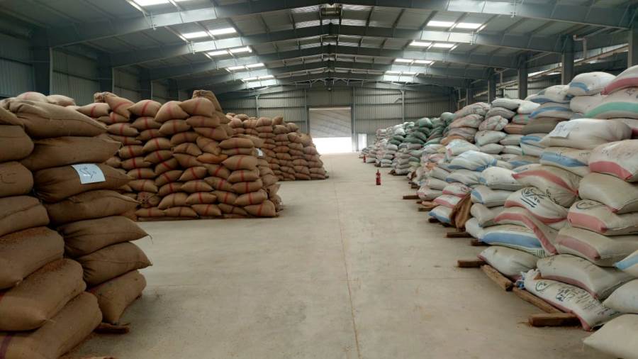 البنك الزراعي المصري ينهي استعداداته لاستقبال موسم توريد القمح 2026