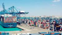 معلومات الوزراء: 6.9 مليار دولار صادرات الصناعات الغذائية المصرية خلال 2025