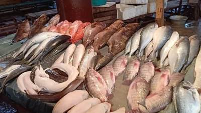 أسعار الأسماك والجمبري في الأسواق المصرية اليوم الخميس 12-12-2024