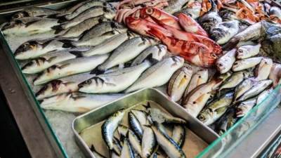 أسعار الأسماك والجمبري في الأسواق المصرية اليوم الأربعاء 25-12-2024