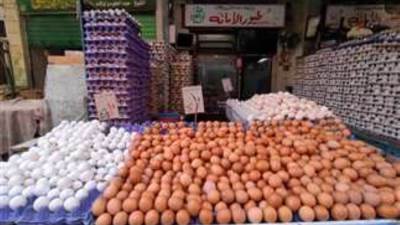 أسعار البيض اليوم الخميس 2-1-2025