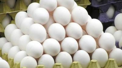 سعر البيض بداية تعاملات اليوم الأحد 5-1-2025