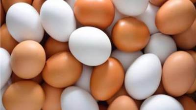 أسعار البيض اليوم الأحد 19-1-2025