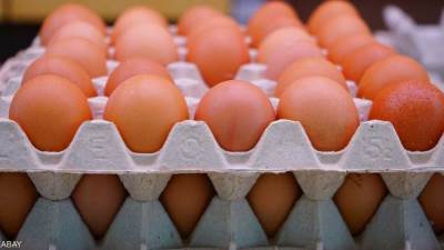 سعر البيض اليوم الثلاثاء 4-2-2025