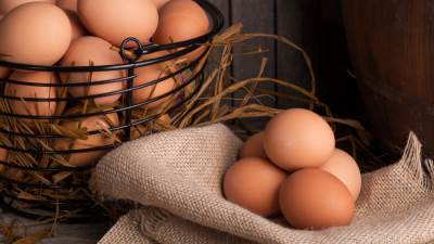 سعر البيض اليوم الأربعاء 26-2-2025