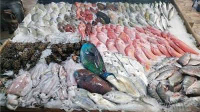 أسعار الأسماك والجمبري في الأسواق المصرية اليوم الأربعاء 5-3-2025