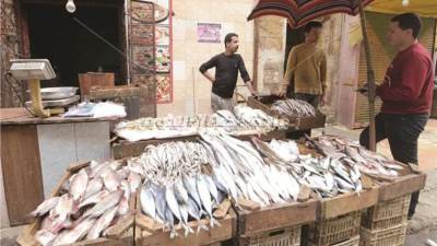 أسعار الأسماك والجمبري في الأسواق المصرية اليوم الأربعاء 16-4-2025