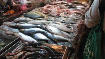 أسعار الأسماك والجمبري في الأسواق المصرية اليوم الاثنين 2-6-2025