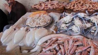 أسعار الأسماك والجمبري في الأسواق المصرية اليوم الخميس 12-6-2025