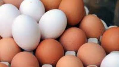 أسعار البيض اليوم الثلاثاء 17-6-2025