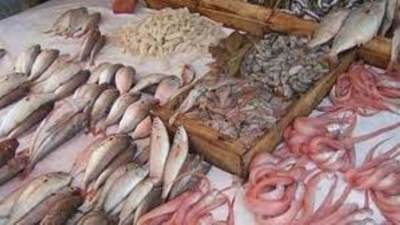 أسعار الأسماك والجمبري في الأسواق المصرية اليوم الخميس 19-6-2025