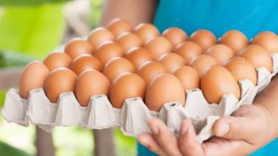  أسعار البيض اليوم الأحد 20-7-2025