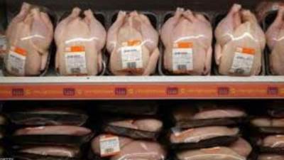  أسعار الفراخ البرازيلي المجمدة اليوم الثلاثاء 5-8-2025