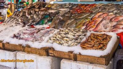 أسعار الأسماك والجمبري في الأسواق المصرية اليوم الأربعاء 13-8-2025