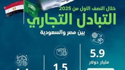 الإحصاء: 8 مليارات جنيه قيمة تحويلات المصريين العاملين بالسعودية خلال العام المالي 2023-2024