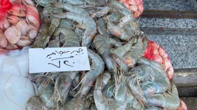 أسعار الأسماك والجمبري في الأسواق المصرية اليوم الاثنين 25-8-2025