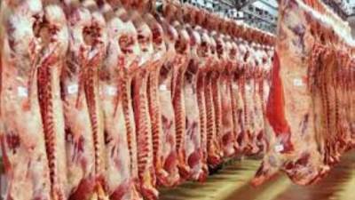 أسعار اللحوم البلدي اليوم الثلاثاء 26-8-2025