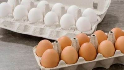أسعار البيض اليوم الخميس 25-9-2025
