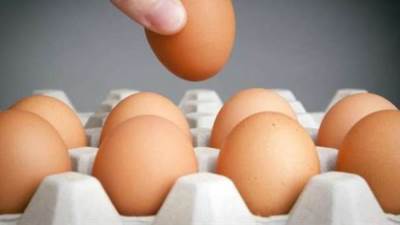 أسعار البيض اليوم الأحد 28-9-2025