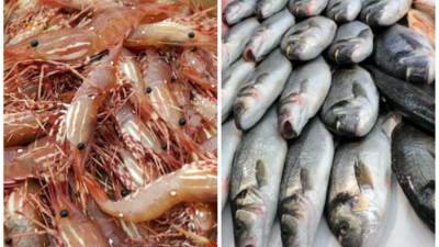 أسعار الأسماك والجمبري في الأسواق المصرية اليوم الأحد 28-9-2025