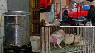 أسعار الدواجن اليوم الأحد 2-11-2025