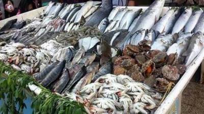 أسعار الأسماك والجمبري في الأسواق المصرية اليوم الأحد 30-11-2025
