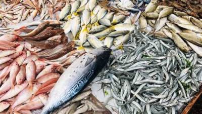 أسعار الأسماك والجمبري في الأسواق المصرية اليوم الاثنين 29-12-2025