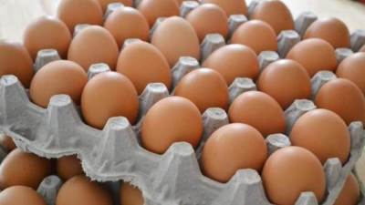 أسعار البيض اليوم الأربعاء 31-12-2025
