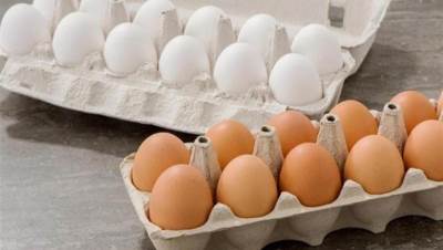 أسعار البيض اليوم الأحد 1-2-2026