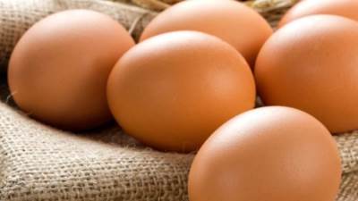 سعر البيض اليوم الأحد 15-2-2026
