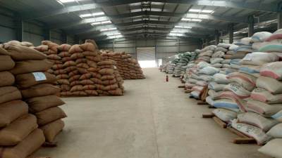 البنك الزراعي المصري ينهي استعداداته لاستقبال موسم توريد القمح 2026