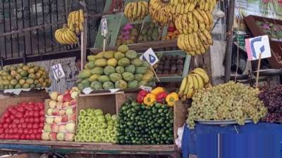 أسعار الخضروات والفاكهة اليوم الأربعاء 13-5-2026