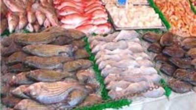 أسعار الأسماك والجمبري خلال تعاملات اليوم الأحد 26-7-2026