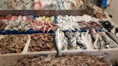 أسعار الأسماك والجمبري في الأسواق المصرية اليوم الأربعاء 21-10-2026