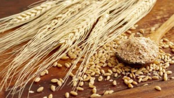 قمح الطحين