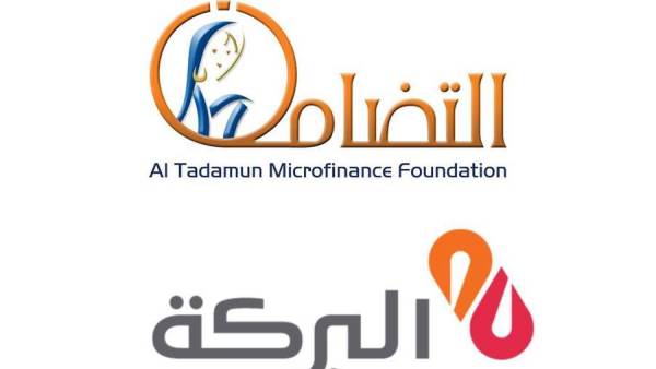 التمويل الأصغر وبنك البركة