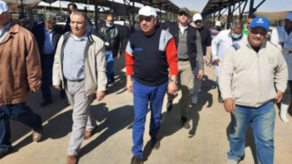 المهندس محمود عصمت وزير قطاع الأعمال العام