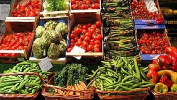 سعر الخضروات اليوم