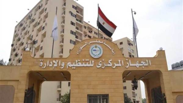 التنظيم والإدارة