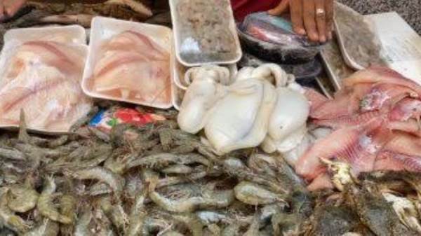 أسعار الأسماك والجمبري في الأسواق المصرية اليوم الخميس 13-6-2024
