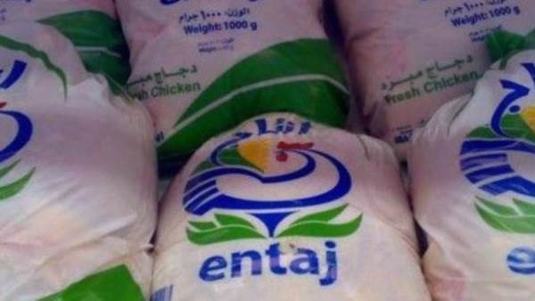 الفراخ البرازيلي المجمدة
