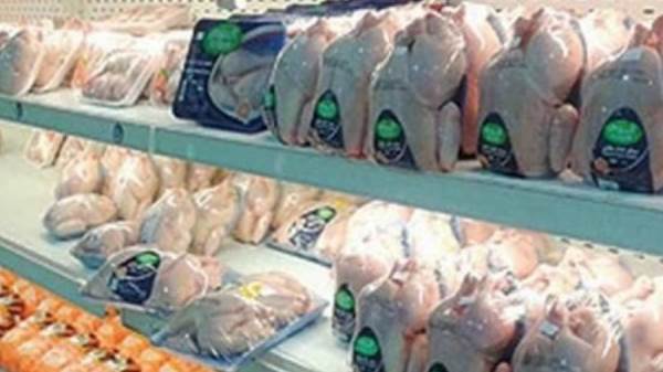 الفراخ البرازيلي المجمدة