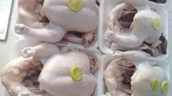 الدواجن