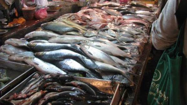 الأسماك والجمبري