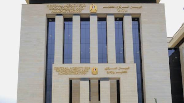 التنظيم والإدارة