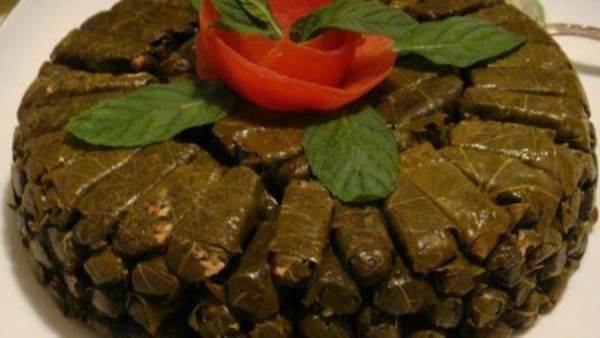 محشي ورق العنب