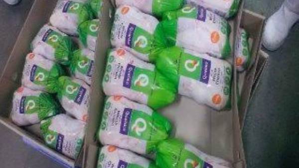 الفراخ المجمدة