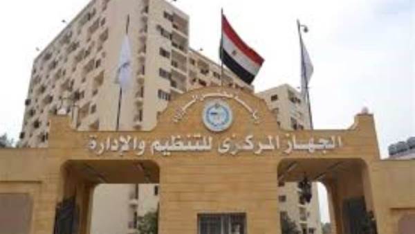 التنظيم والإدارة